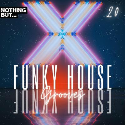 Va-Artists - Nothing But... Funky House Grooves, Vol 20 (2024) MP3