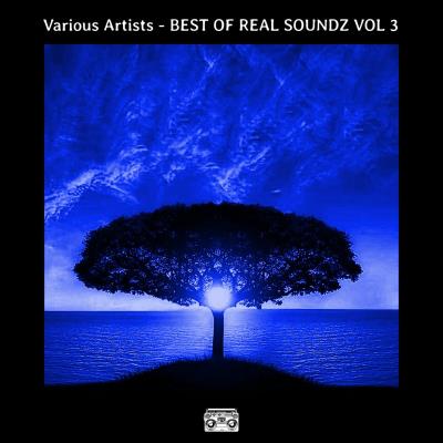 Va-Artists - BEST OF REAL SOUNDZ VOL 3 (2024) MP3