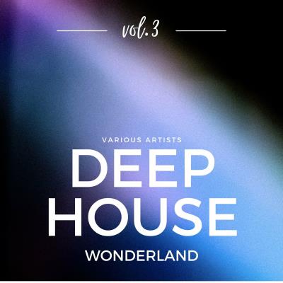 Va-Artists - Deep-House Wonderland, Vol 3 (2024) MP3