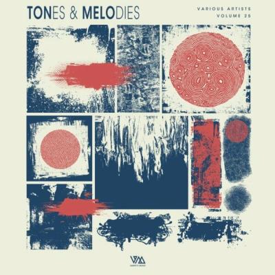 Va-Artists - Tones & Melodies Vol. 25 (2024) MP3