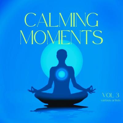 Va-Artists - Calming Moments, Vol. 3 (2024) MP3