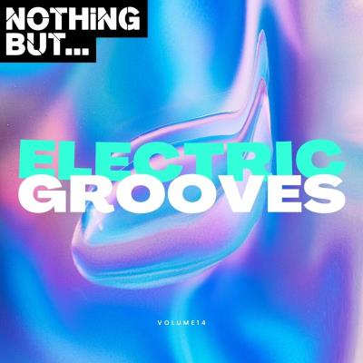 Va-Artists - Nothing But... Electric Grooves, Vol 14 (2024) MP3