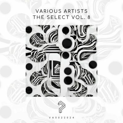 Va-Artists - The Select Vol. 8 (2024) MP3