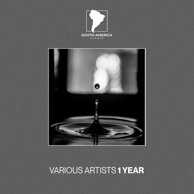 Va-Artists - 1 Year South America Avenue (2024) MP3