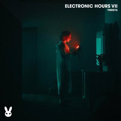 Va-Artists - Electronic Hours VII (2024) MP3