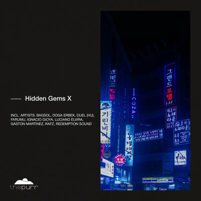 Va-Artists - Hidden Gems X (2024) MP3