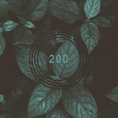 Va-Artists - RYNTH 200 (2024) MP3