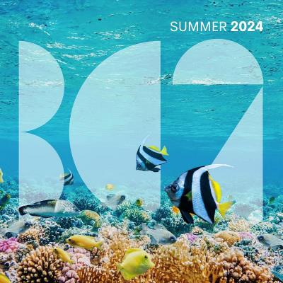 Va-Artists - BC2 Summer 2024 (2024) MP3