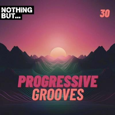 Va-Artists - Nothing But... Progressive Grooves, Vol. 30 (2024) MP3