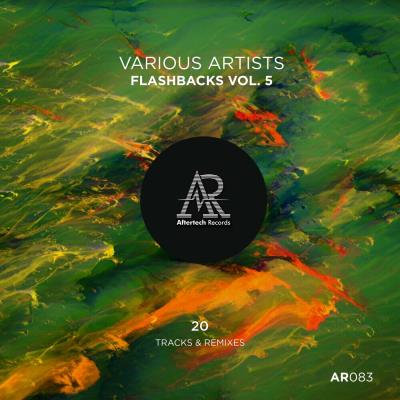 Va-Artists - Flashbacks, Vol. 5 (2024) MP3