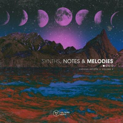 Va-Artists - Synths, Notes & Melodies Vol. 9 (2024) MP3