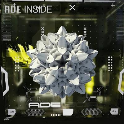 Va-Artists - ADE Inside (2024) MP3