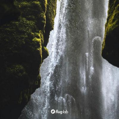 Va-Artists - Celebration of 100 Releases (2024) MP3