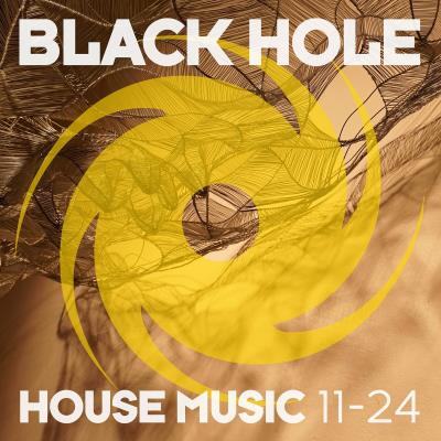 Va-Artists - Black Hole House Music 11-24 (2024) MP3