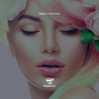 Va-Artists - Essence Of Relaxation (2024) MP3