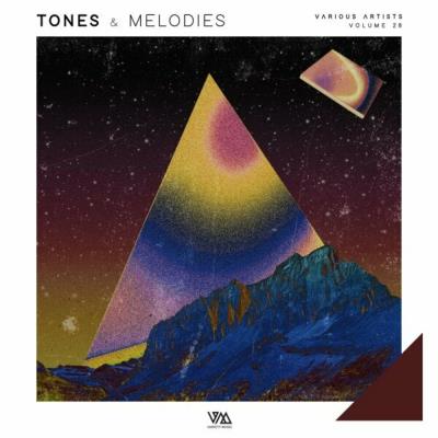 Va-Artists - Tones & Melodies, Vol. 28 (2025) MP3