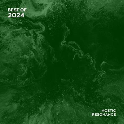 Va-Artists - Noetic Resonance - Best of 2024 (2024) MP3