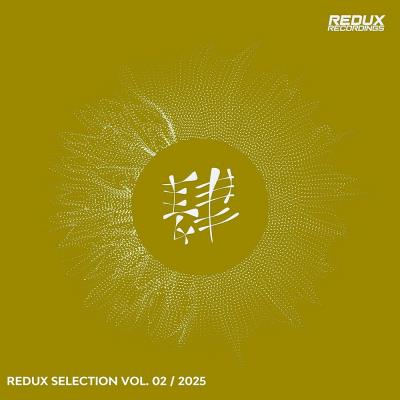 Va-Artists - Redux Selection, Vol. 2 / 2025 (2025) MP3