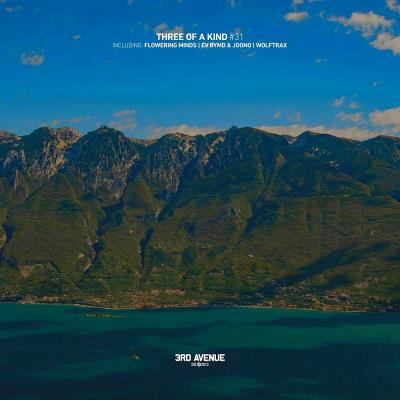 Va-Artists - Three of a Kind #031 (2025) MP3