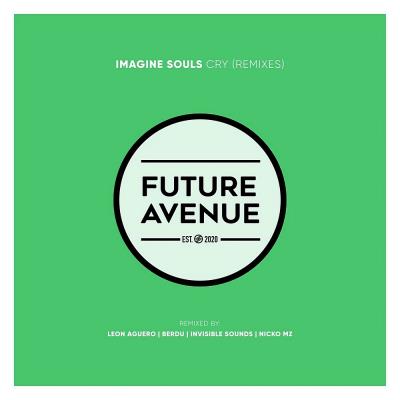 Va-Artists - Imagine Souls - Cry (Remixes) (2025) MP3