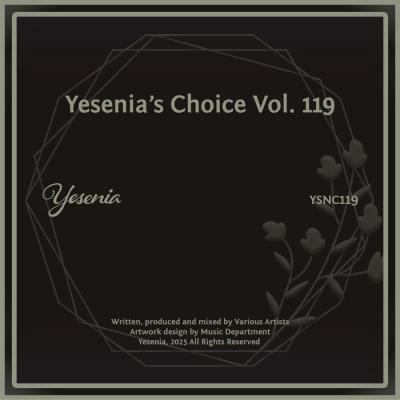 Va-Artists - Yesenia's Choice, Vol 119 (2025) MP3