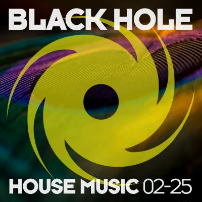 Va-Artists - Black Hole House Music 02-25 (2025) MP3