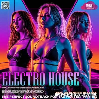 The Perfect Electro House