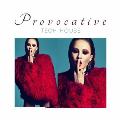 Va-Artists - Provocative Tech House (2023) MP3