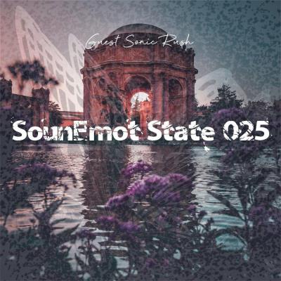 Va-Artists - Sounemot State 025 (Guest Sonic Rush) (2023) MP3