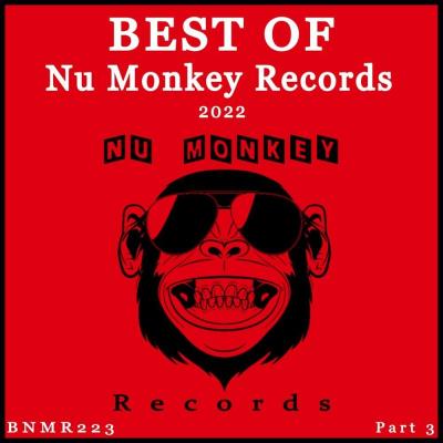 Va-Artists - Best Of Nu Monkey Records 2022 Pt. 3 (2023) MP3