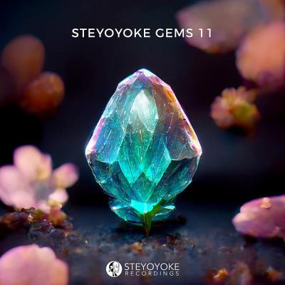 Va-Artists - Steyoyoke Gems 11 (2022) MP3