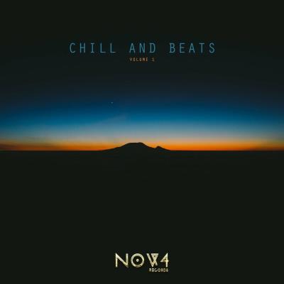 Va-Artists - Chill And Beats, Vol. 1 (2023) MP3